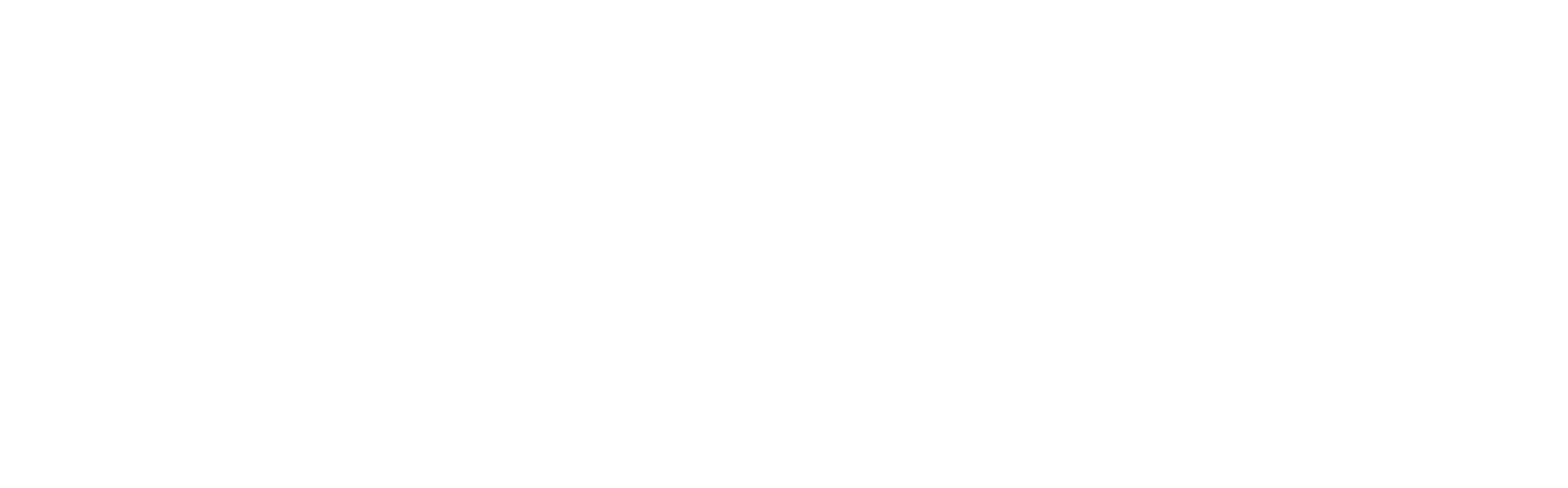 BSB Polymer Partners